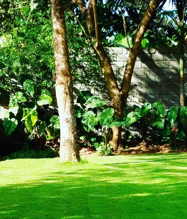Kundayo Serviced Apartments Lodge image 21